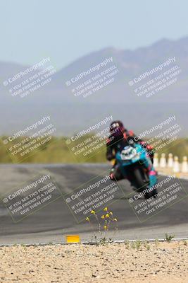 media/Apr-13-2024-SoCal Trackdays (Sat) [[f1617382bd]]/12-Turn 11 Braking Zone (210pm)/
